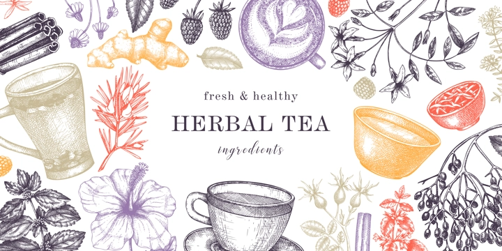 Hand drawn tea drinks ingredients banner in color. Vector sketches of hot beverage cups, herbs, flowers, fruits background. Herbal tea design for cafe or restaurant menu, banners, web. 